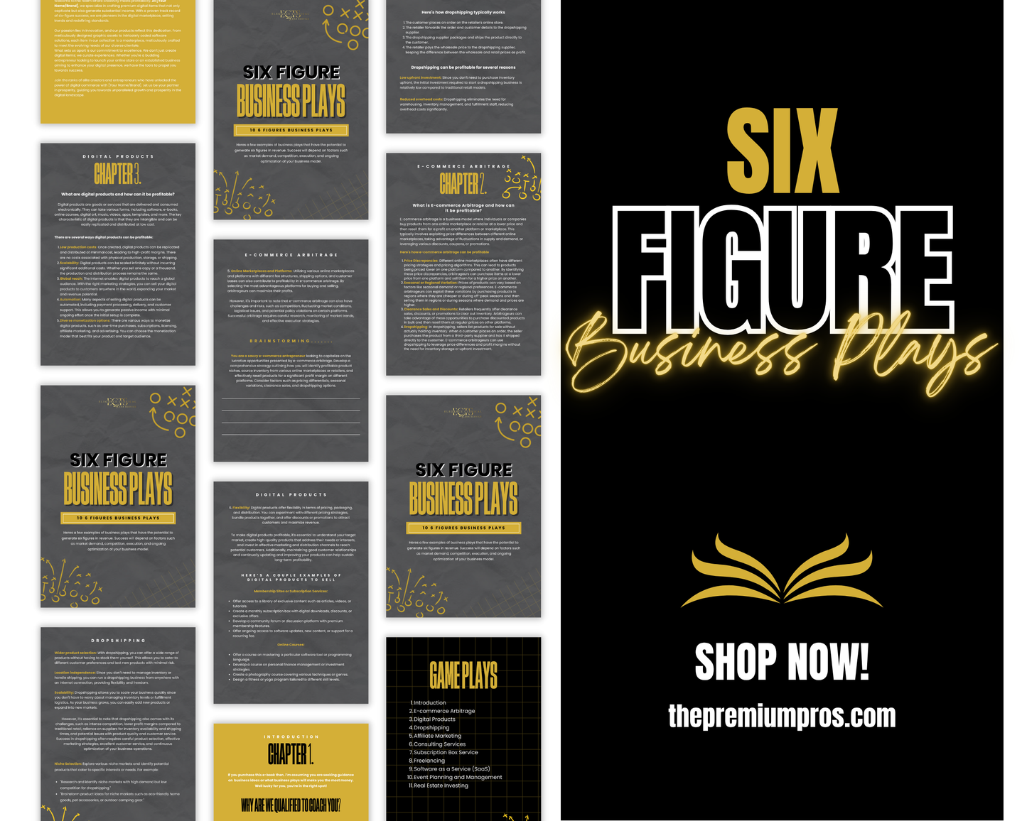 6 Figures Business Plays